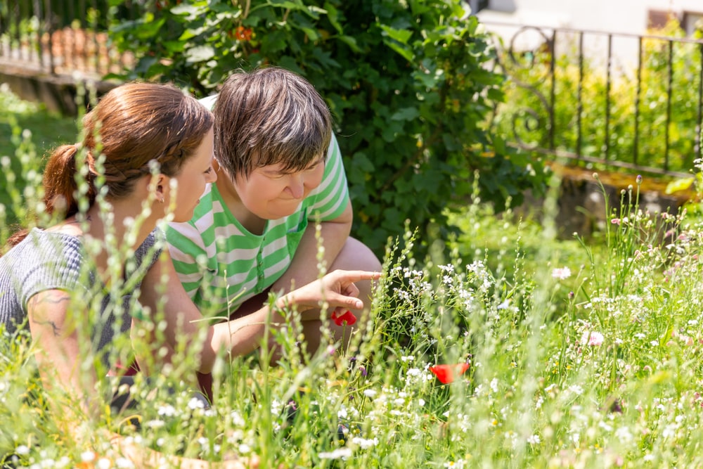 The Benefits of Horticulture Therapy for Teens with Mental Illness