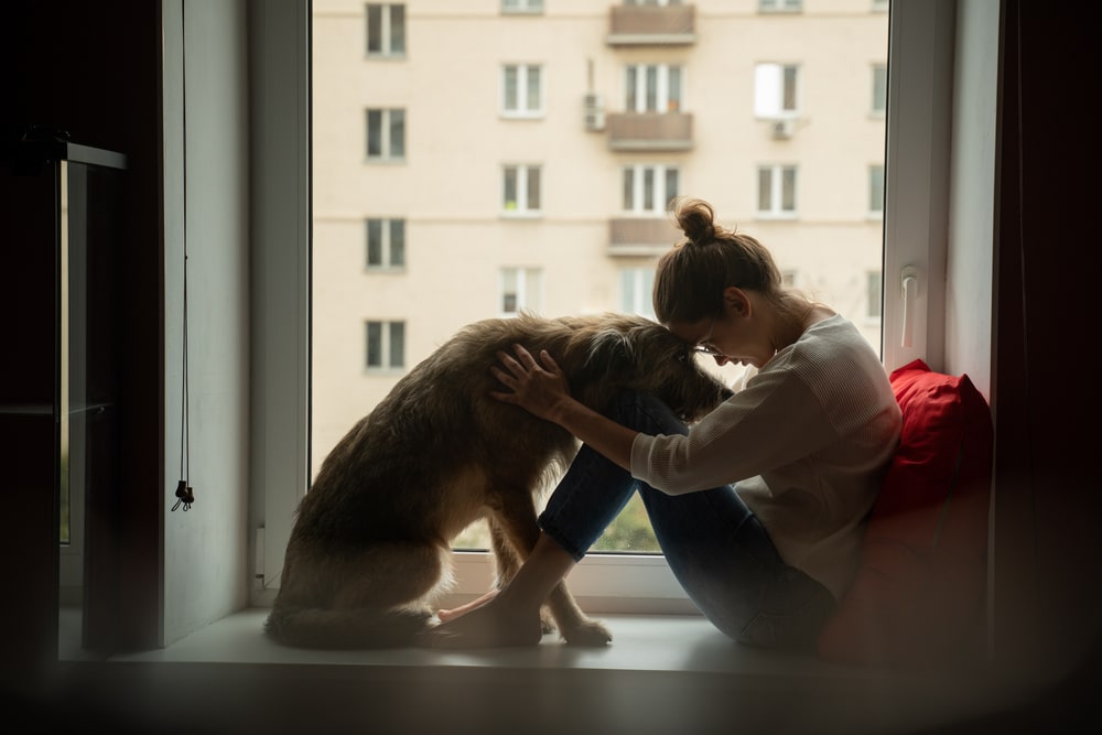 Teen Mental Health and the Benefits of Pet Therapy