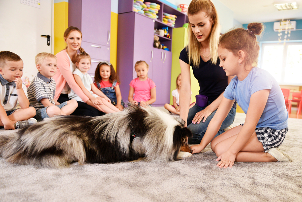 The Benefits of Animal-Assisted Therapy for Teen Mental Health